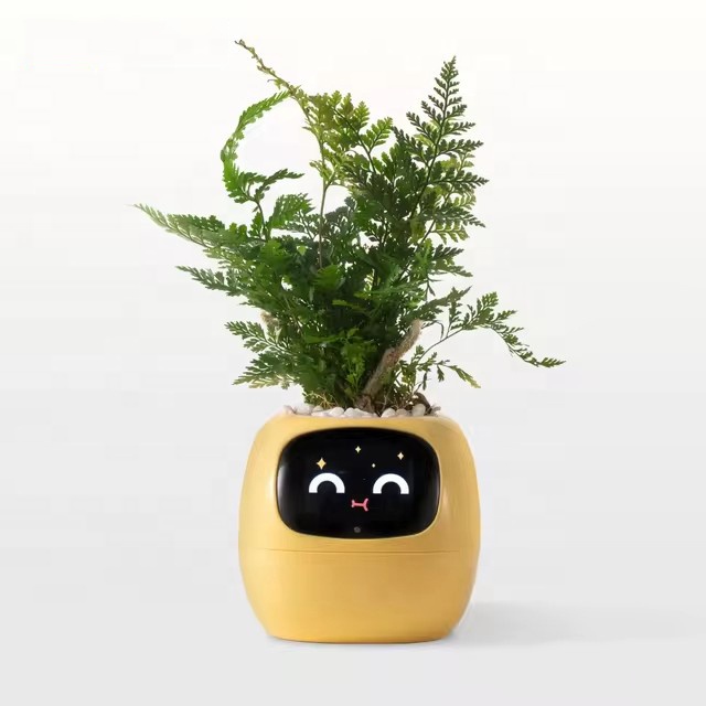 YY Wifi Ai Planter z funkcją p – Home Decor Ai recenzja i cena
